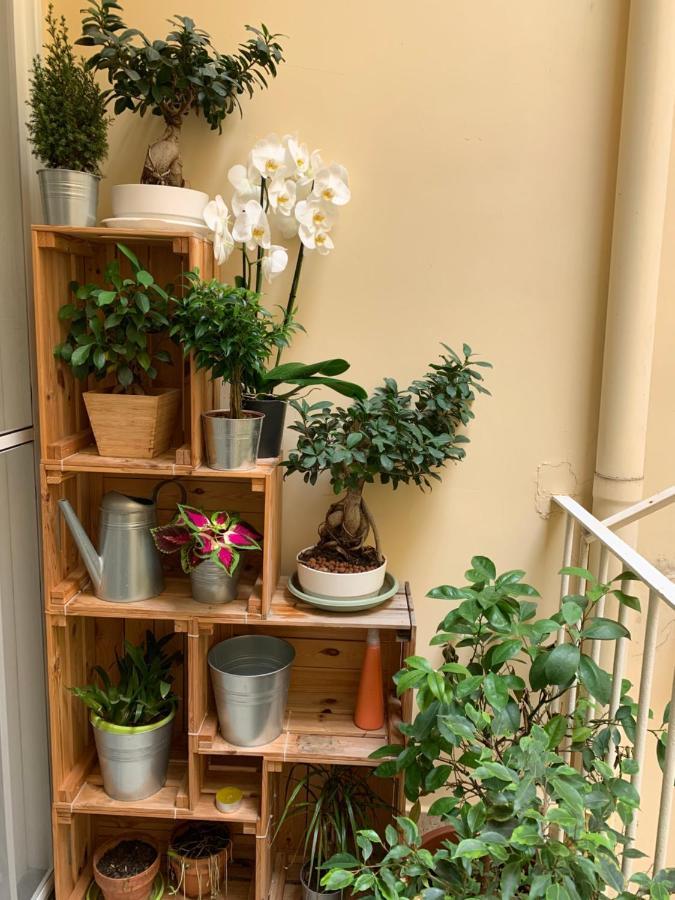 Raroom Boutique Home トッレ・デル・グレコ エクステリア 写真